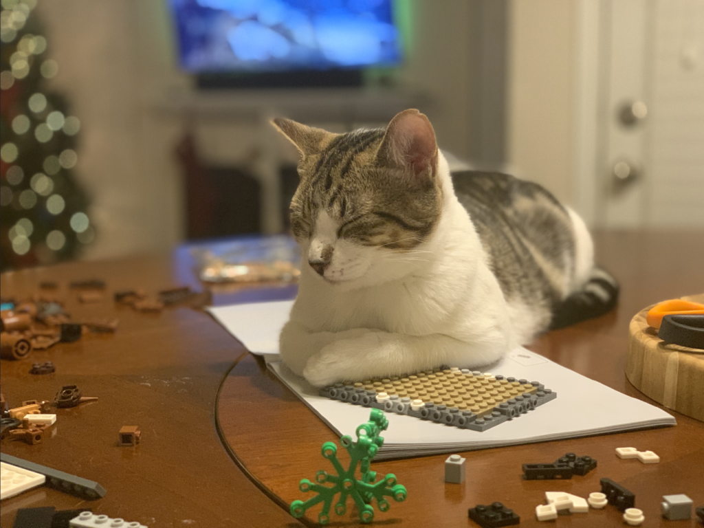 Vinny with Legos